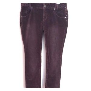 Women’s dress pants